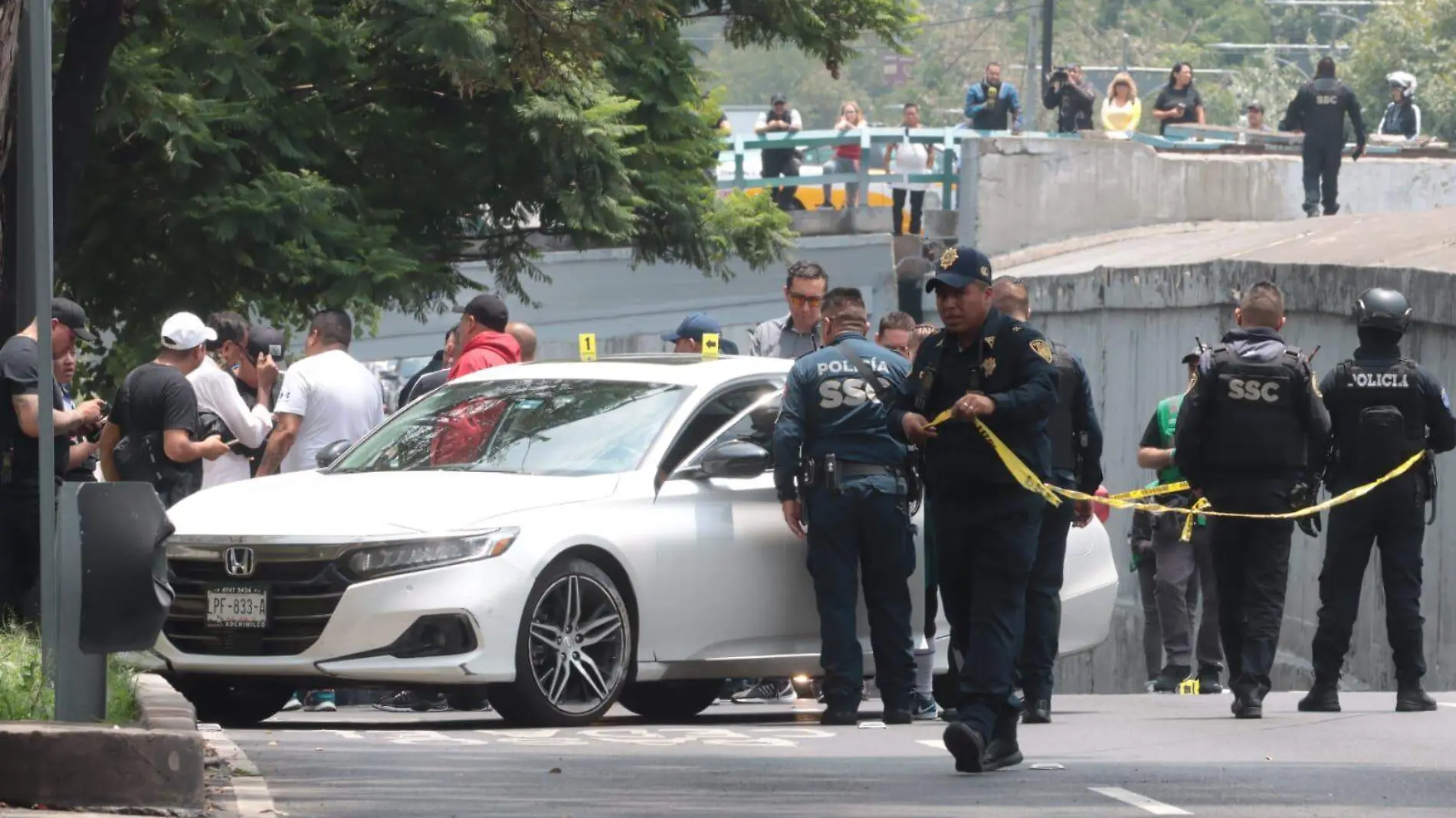 ejecutado viaducto LUIS BARRERA (3)